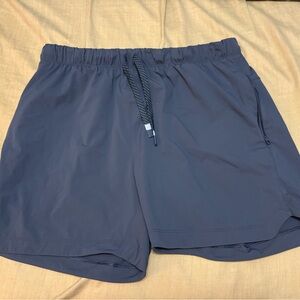 Fabletics Men's Athletic Shorts in Dark Gray